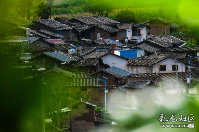 怎么才能在家做好蛋糕游戏画面